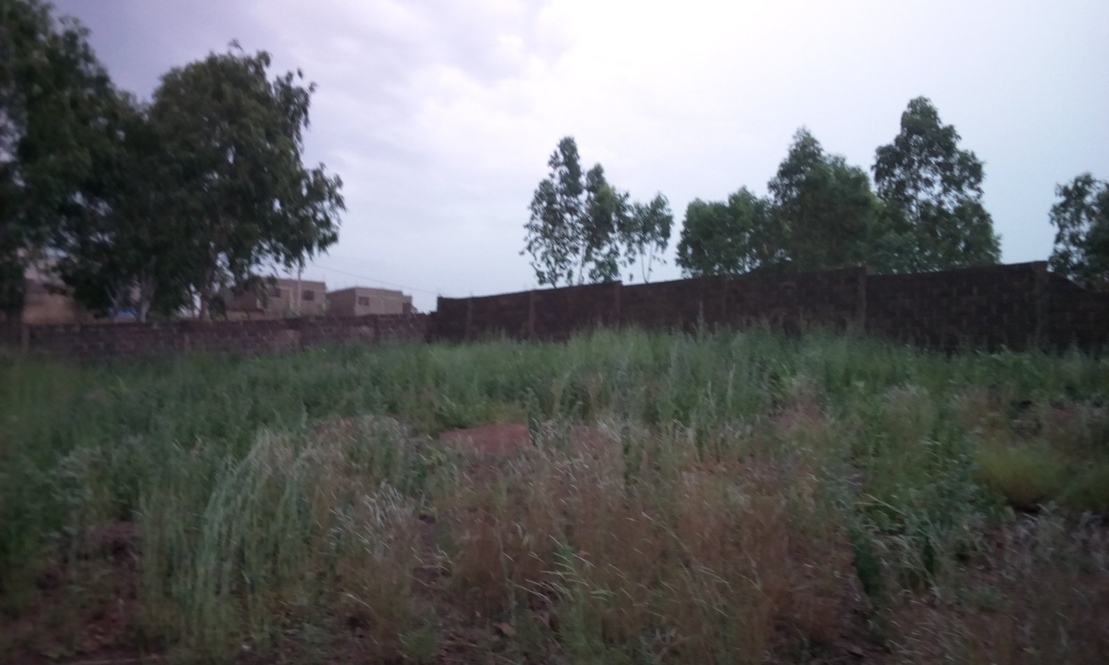 Image de Terrain de clôturé de 2342 m2 à Magnambougou CR - Terrain nue