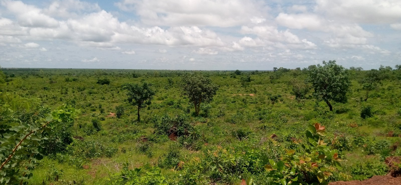 Image de Petit prix terrain de 360 m2 - Terrain nue