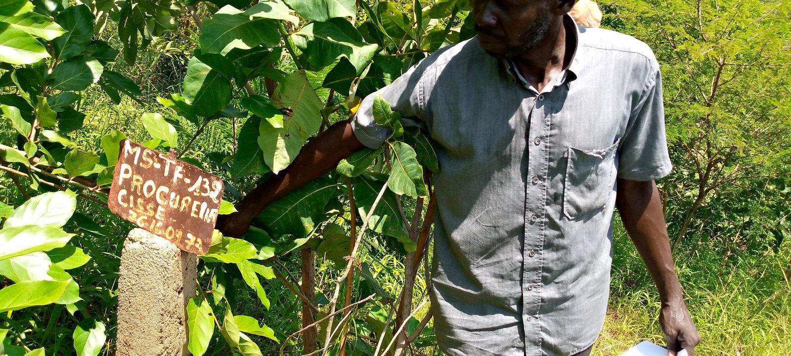 Image de Terrain nue en Titre foncier de 5000m2 à SAFO - Terrain nue