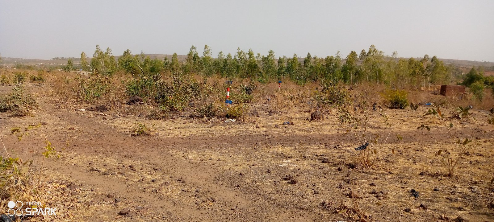 Image de Trois parcelles de terrain nue en Titre Foncier de 900 m2 sise à SANGAREBOUGOU - Terrain nue