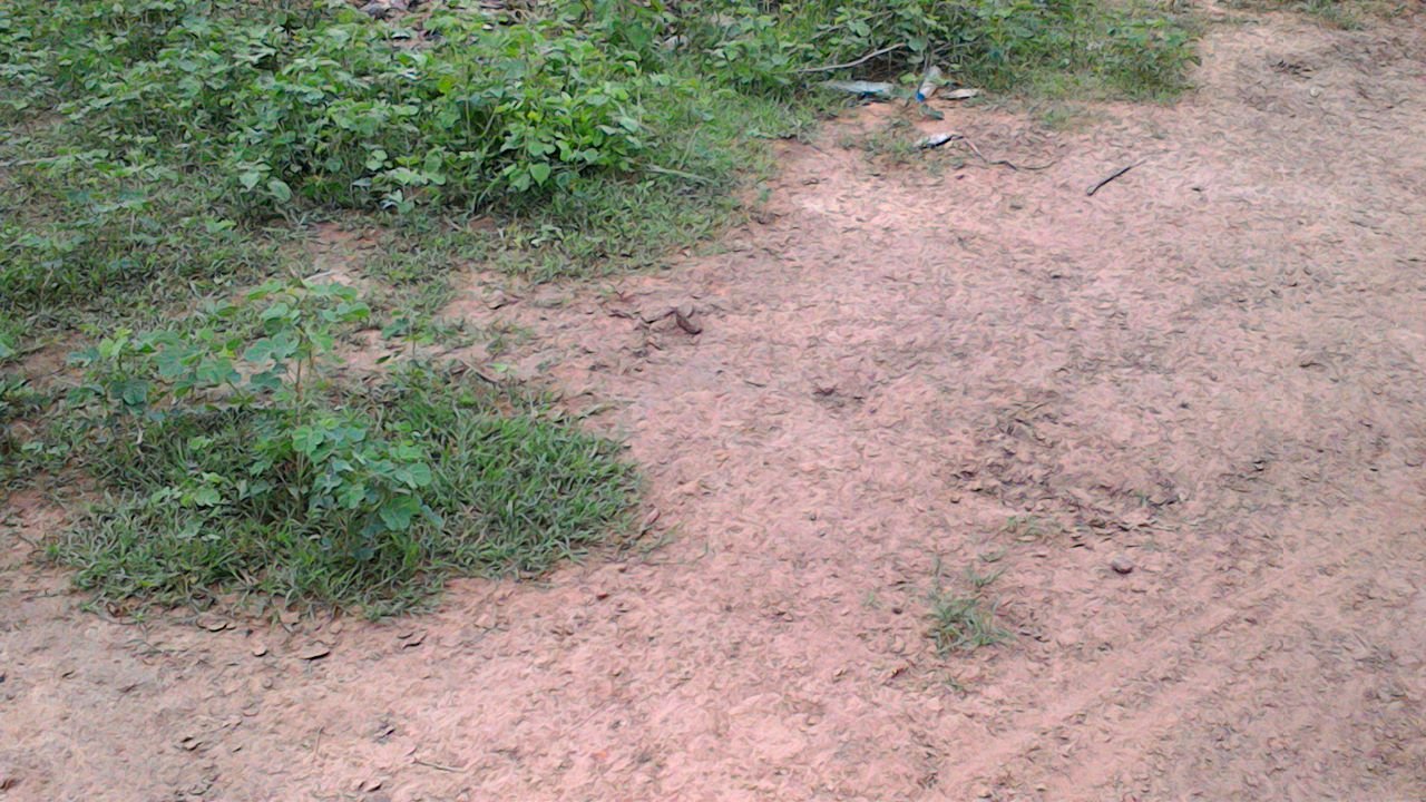 Image de Terrain nue de 180 m2 sise à YAYABOUGOU-BAGUINEDA - Terrain nue